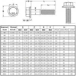 Din6921 Lớp 8.8
