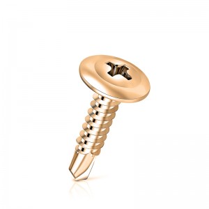 Modifer Truss Head Vít tự khoan