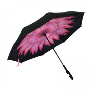 2019 tùy chỉnh đảo ngược mở lại đóng gói hoa khung hình sợi thủy tinh ain ô ngược cho xe