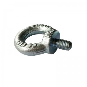 H-Nâng Din580 Giả mạo bằng thép Carbon