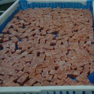 Khối cá hồi hồng đông lạnh