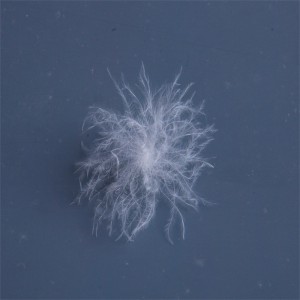 Vịt tự nhiên, lông ngỗng