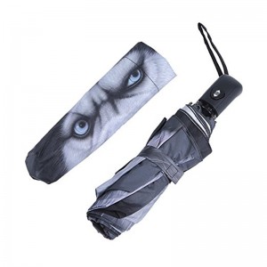 In hình kỹ thuật số động vật Tự động mở và tự động đóng 3 ô