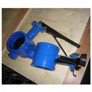 Van bướm cuối rãnh