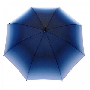 23inch Tự động mở vải màu tiếp thị ô thẳng