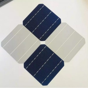 Tế bào đơn tinh thể