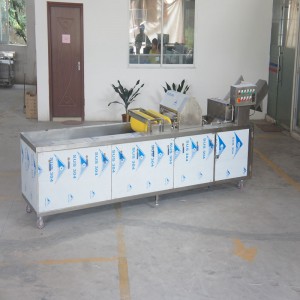 Máy rửa rau quả khử trùng Ozone (với thiết bị loại bỏ tạp chất)