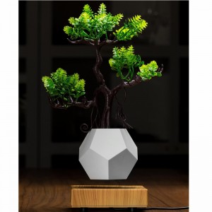 bay từ trường cây nổi chậu không khí bonsai PA-0708