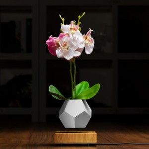 bay từ trường cây nổi chậu không khí bonsai PA-0708