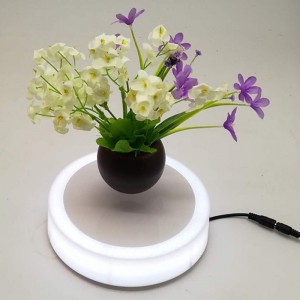 chậu từ không khí bonsai chậu trồng cây PA-0703