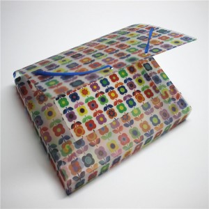 Thư mục hộp nhựa PP có tính đàn hồi