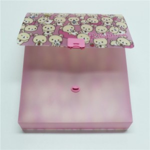 Hộp tập tin bằng nhựa tùy chỉnh Túi đựng tập tin