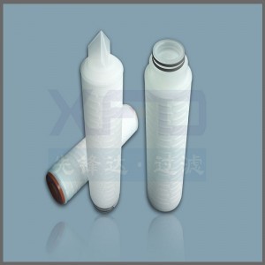 Hộp mực lọc xếp li PTFE --- RFTW