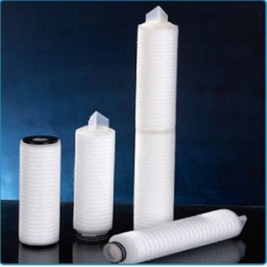 Hộp mực lọc xếp li PTFE --- RFTW