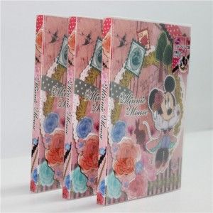 Album ảnh in nhựa PP