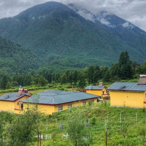 Gạch nhựa tổng hợp ASA, ngói tráng men hình thang