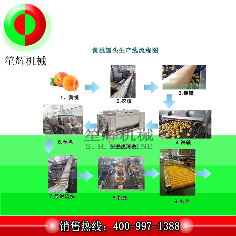 Dây chuyền sản xuất chế biến trái cây lớn / dây chuyền sản xuất chế biến đào vàng