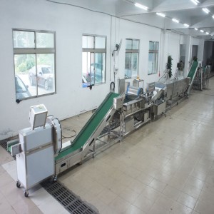 Dây chuyền lớn giết chết dây chuyền sản xuất