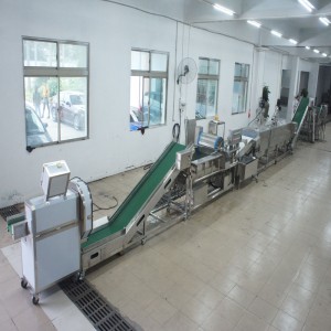 Dây chuyền lớn giết chết dây chuyền sản xuất