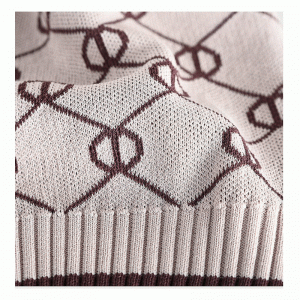 Áo len nữ 100% Polyester Finshnet Jacquard