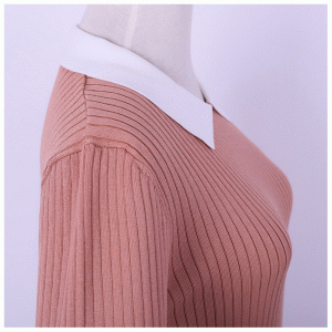 Ladies Fit Polo Cổ Dragonfly Thêu tay áo ngắn Áo thun cho dịp chính thức