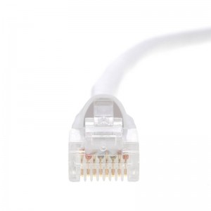 Cáp Ethernet Cáp CAT5E UTP