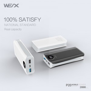 WEX - Ngân hàng điện P20