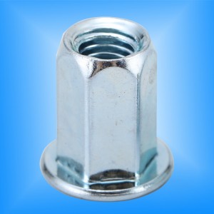 Đầu phẳng toàn thân