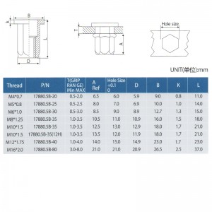Đầu phẳng toàn thân