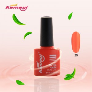 Sơn móng tay chuyên nghiệp giá rẻ Ngâm màu Uv Gel Nail