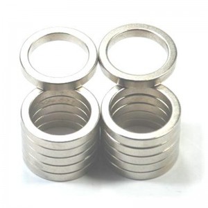 Tùy chỉnh nam châm vòng đơn.