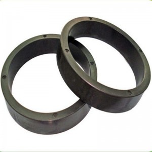 Nam châm vĩnh cửu bằng nhựa tiêm cực đa cực Ferrite NdFeB Motor Magnet