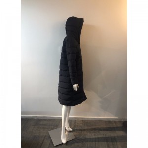 CUỘC SỐNG LỚN LỚN CỦA LADIES RLWPC0056