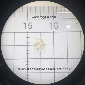 Tùy chỉnh tuyệt vời đất hiếm vĩnh cửu micro smco vĩnh cửu