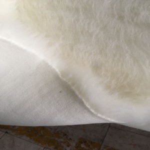 Máy dệt cho VẢI cọc cao