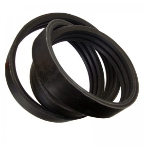 V ành đai Vbao quanh