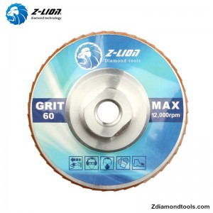 Đĩa mài kim cương 5 inch bằng nhôm ZL-WMCY02 bằng chỉ