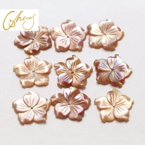 Mẹ của ngọc trai vỏ trang sức