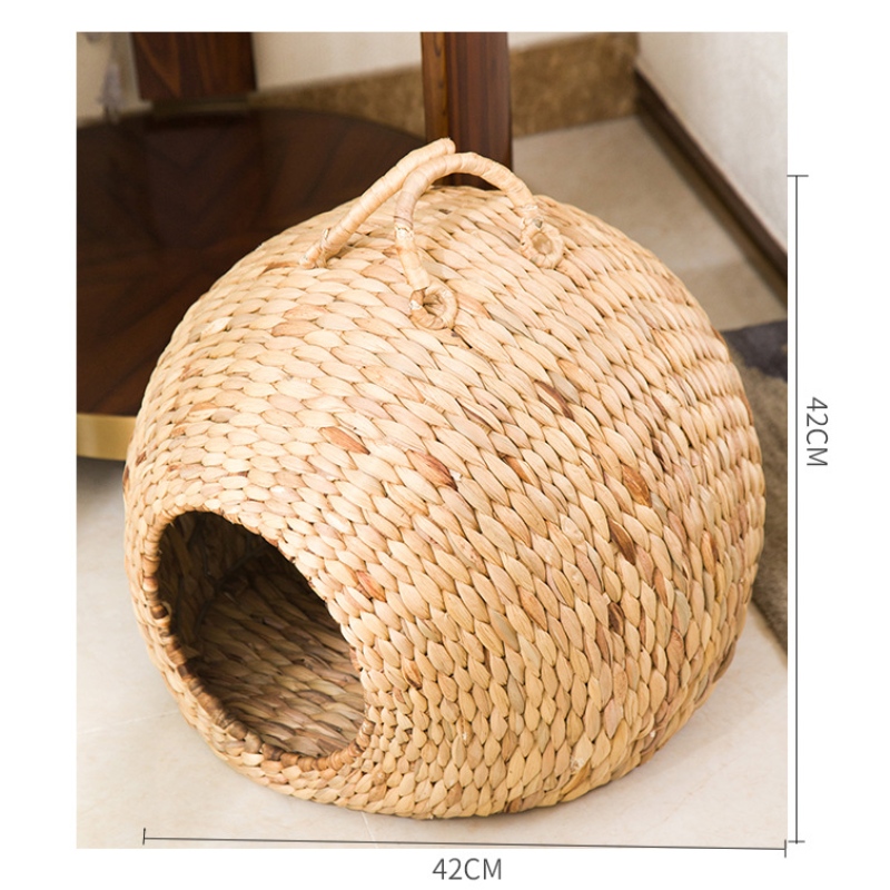 Tổ yến \/ giường