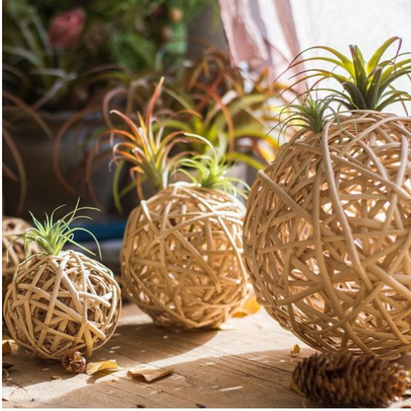 Trang trí Nhà thờ tuyệt đẹp cho lễ cưới