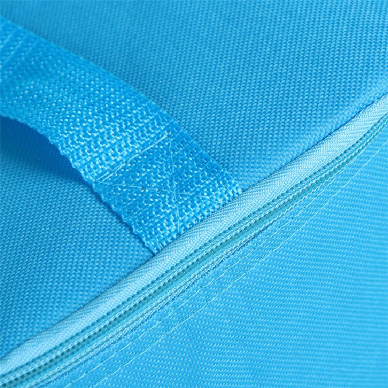 CV25 Wholesale Ice Cream Carrigan... chuyên chở lò điều chế thạch... cho Túi ướp lạnh giá ngộ ăn trưa cho lũ trẻ trâu.