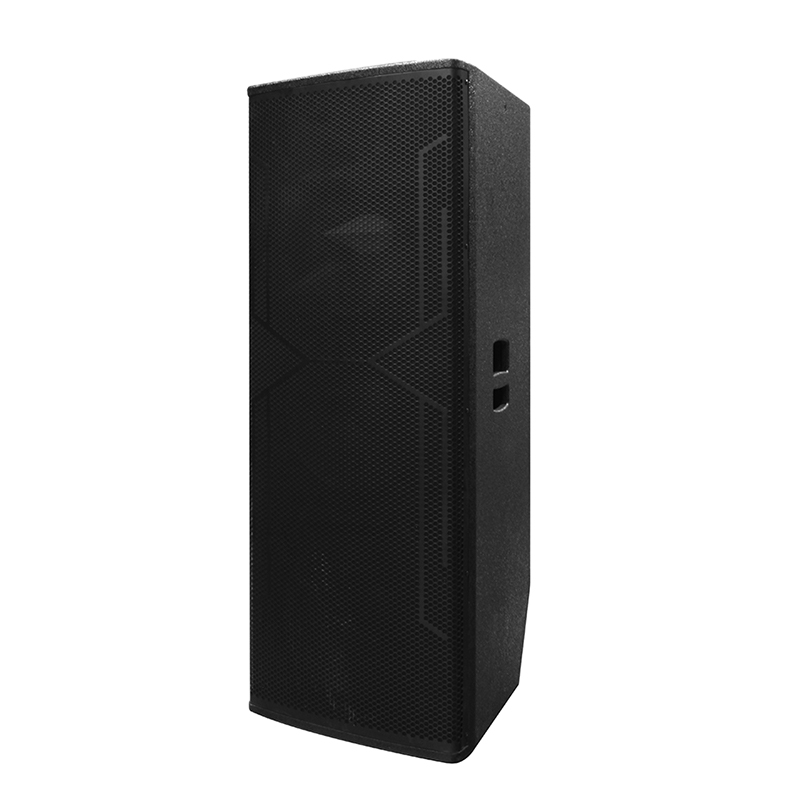 Loa DJ lớn Y-450DH