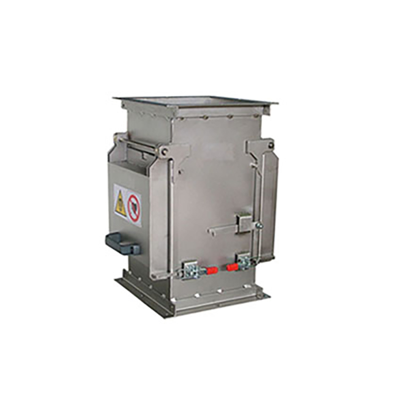 Gia đình Plat, Magneto.