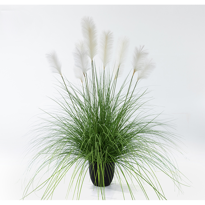 OH1092000127/ OH1092000128