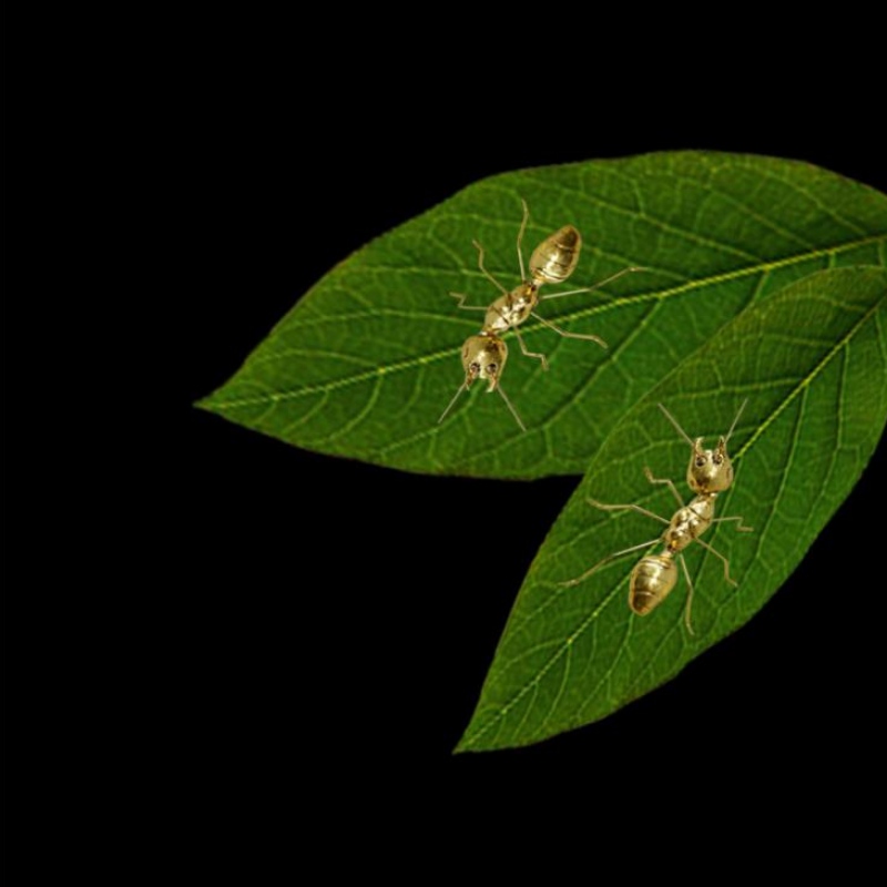 Buôn bán trực tiếp nhà máy sáng tạo những đồ trang trí trang trí bằng vàng siêu thị