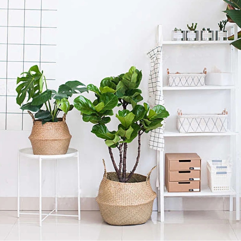 Dệt giỏ cỏ biển để lưu trữ chậu hoa đứng