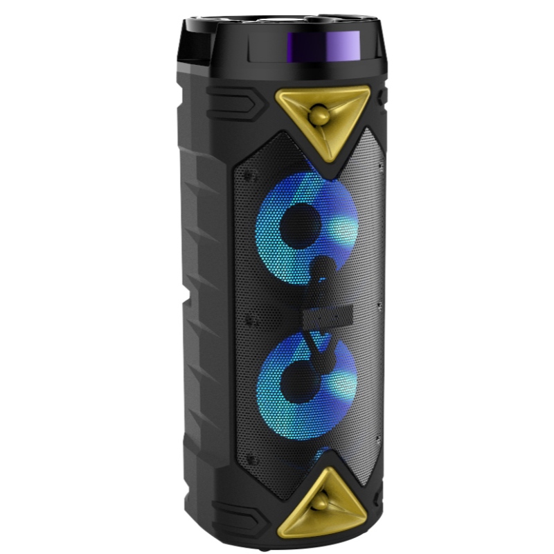 Giọng nói lục trang