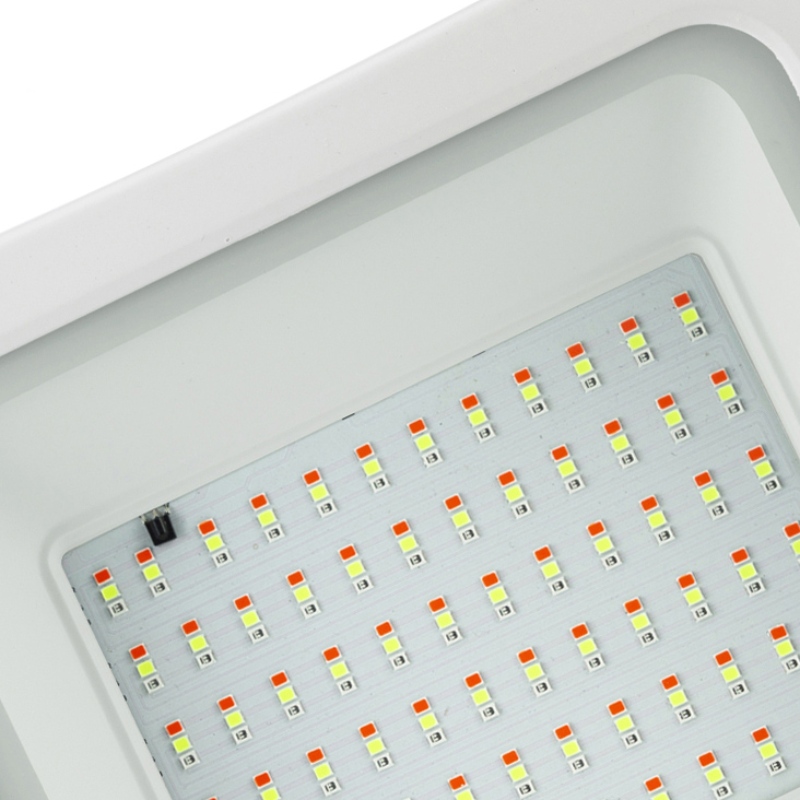 Nhôm chung xuất nhanh 50w 100w 200w dẫn đường lụt