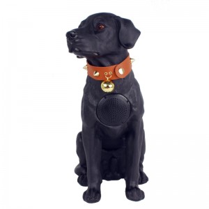 Chủ tịch Y-M21-H.