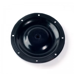 Cơ thể cao su cho bộ phận bơm khínén khí đốt